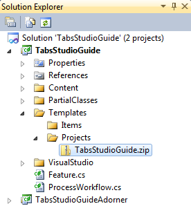 A template project in the guide solution